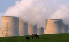 燃煤发电厂需要安装什么气体报警器